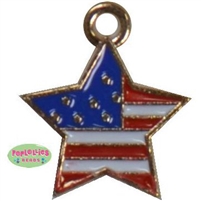 Enamel Flag Charm