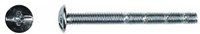 Break- Away Truss Head Machine Screw (Phillips/Slot Rec)