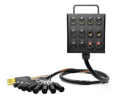 Rush Order 12-Channel Studio Wall Box / Stage Box | Made from Mogami 2933 & Neutrik Gold Connectors | Standard Finish