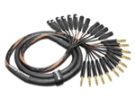 12-Channel Analog Snake | Made from Mogami 2933 & Neutrik Gold 1/4" TRS to 6 XLR-Female & 6 XLR-Male | Standard Finish ( Harness Loom )