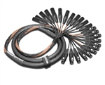 12-Channel Analog Snake | Made from Mogami 2933 & Neutrik Gold XLR | Standard Finish ( Harness Loom )