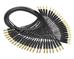24-Channel Analog Snake | Made from Mogami 2936 & Neutrik Gold 1/4" TRS | Premium Finish ( Harness Loom )