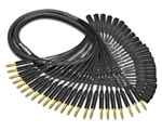 24-Channel Analog Snake | Made from Mogami 2936 & Neutrik Gold 1/4" TRS to XLR-Male | Premium Finish ( Harness Loom )