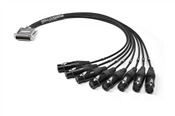 Analog DB25 to XLR-Female Snake Cable | Made from Rapco Horizon SN8-IJIS & Neutrik Gold Connectors | Premium Finish