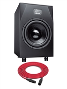 Adam Professional Audio Sub12 | 300W 12" Active Subwoofer