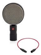 Coles 4030L | Studio Ribbon Lollipop Microphone