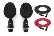 Coles 4038 | Studio Ribbon Microphone | Pair