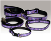 Toy Poodle Collars