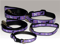 Toy Poodle Collars