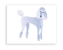Poodle Note Cards