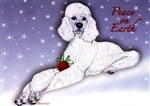 Poodle Holiday Cards