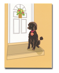 Poodle Gift Cards