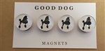 Domed Glass Poodle Magnet Set