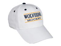 Michigan Hockey Bar Hat