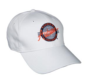 Auburn Tigers Circle Hat