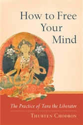 Tibetan Buddhism book