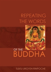 Buddhism book