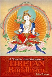 A Concise Introduction to Tibetan Buddhism by John Powers