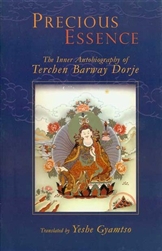 Precious Essence of Terchen Barmay, by Yeshe Gyamtso