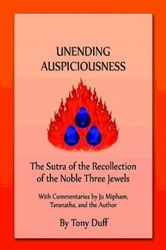 Unending Auspiciousness: The Sutra of the Recollection of the Noble Three Jewels by Tony Duff