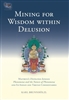 Mining For Wisdom Within Delusion, by Karl Brunnholzl