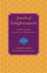 Jewels of Enlightenment, by Erik Pema Kunsang