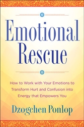 Emotional Rescue, by Dzogchen Ponlop Rinpoche