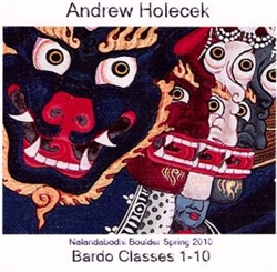 Bardo Classes 1-10 by Andrew Holecek, DVD