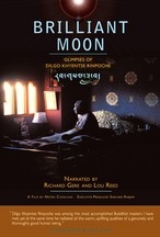 Brilliant Moon, DVD