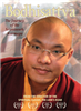 Bodhisattva, The Journey of the Seventeenth Karmapa, DVD
