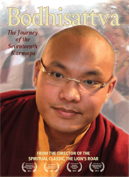 Bodhisattva, The Journey of the Seventeenth Karmapa, DVD