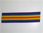 b4167 WW 1 US and Allies Victory Medal Rainbow ribbon C5A5