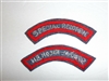 e0643 WW2 OSS China Special Recon Bn Battalion Office Strategic Service C20A18