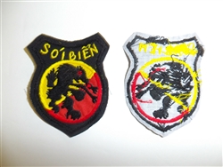 b1898 RVN Vietnam Marine Corp's 3rd Battalion SoI BIEN Sea Wolf emb IR11B