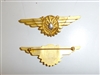 0190 WW 2 US Navy Flight Surgeon Wings B1D41