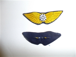 b8876 WW 2 US Army Air Force AVG Chinese Pilot's Wings  Flying Tigers OD C8A12