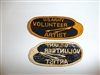 c0294 Vietnam US Army Volunteer Artist patch U.S.  R10D