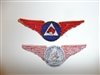 E0710 WW 2 Civil Air Patrol  CAP C.A.P Horse Patrol Wing R22C