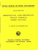 Ordovician and Devonian trace fossils from Nevada