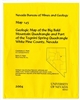 Geologic map of the Big Bald Mountain quadrangle and part of the Tognini Spring quadrangle, White Pine County, Nevada MAP AND TEXT