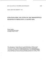 Stratigraphic sections of the Mississippian Chainman Formation, Utah-Nevada