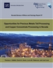 Opportunities for precious metals toll processing and copper concentrate processing in Nevada