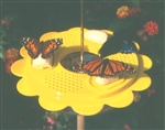 12 oz. Butterfly Feeder