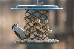 Magnet Mesh Whole Peanut-in-the-Shell Feeder