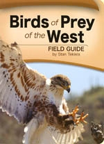 Birds of Prey of the West Field Guide