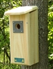 Downy Woodpecker House