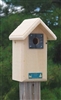 Backyard Birdhouse