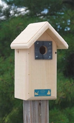 Backyard Birdhouse