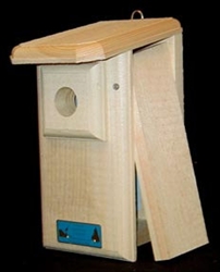 Western/ Mountain Bluebird House