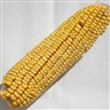 Whole Corn-on-Cob